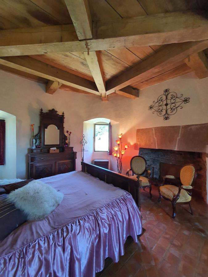 Chambre D'Hotes Au Chateau De Belcastel Belcastel  Exteriör bild