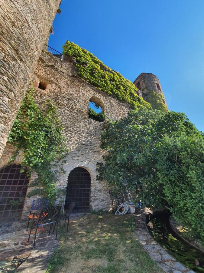 Chambre D'Hotes Au Chateau De Belcastel Belcastel  Exteriör bild