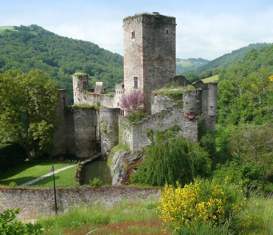 Chambre D'Hotes Au Chateau De Belcastel Belcastel  Exteriör bild